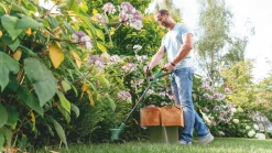 Bosch EasyGrassCut 26 280W 240V Grass Trimmer -The Handy shop 255RG A2