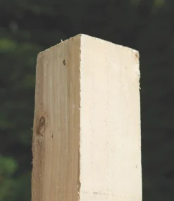 Forest Rough-Sawn Fence Posts 75 X 75mm X 2.4m 5 Pack
