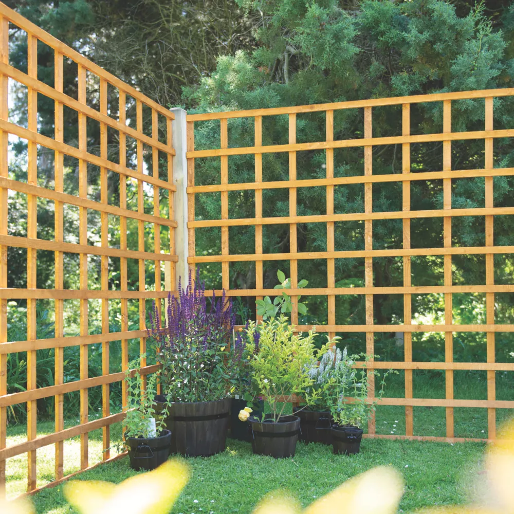 Forest Softwood Square Trellis X 10 Pack - Image 3