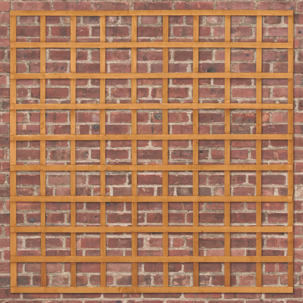 Forest Softwood Square Trellis X 10 Pack