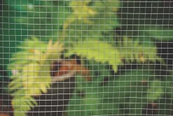 Apollo® Apollo 13 X 13mm Galvanised Welded Mesh 0.9 X 6m -The Handy shop 53558 A3