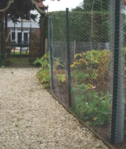 Apollo® Apollo 50mm Galvanised Wire Netting 0.6 X 10m -The Handy shop 55438 A3