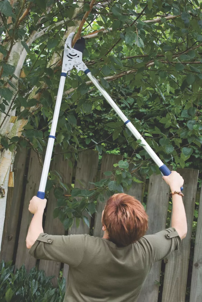 Spear And Jackson Spear & Jackson Razorsharp Advance Telescopic Ratchet Anvil Loppers 40" () 2 Spear And Jackson Spear & Jackson Razorsharp Advance Telescopic Ratchet Anvil Loppers 40" () - Image 2