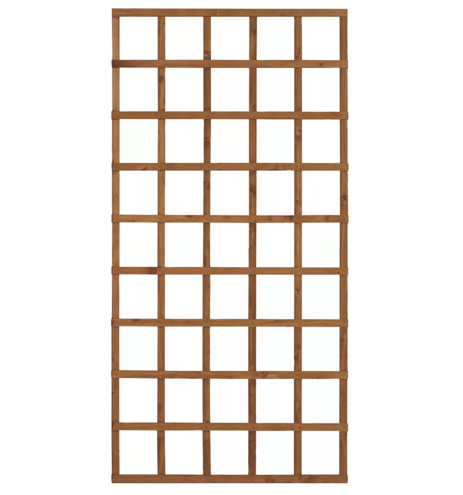 Forest Softwood Rectangular Trellis 3 X 6' 5 Pack