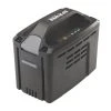 Mountfield E-Power 48V 2.0Ah Li-Ion Battery