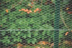 Apollo® Apollo 25mm Galvanised Wire Netting 0.6 X 50m -The Handy shop 90522 A4
