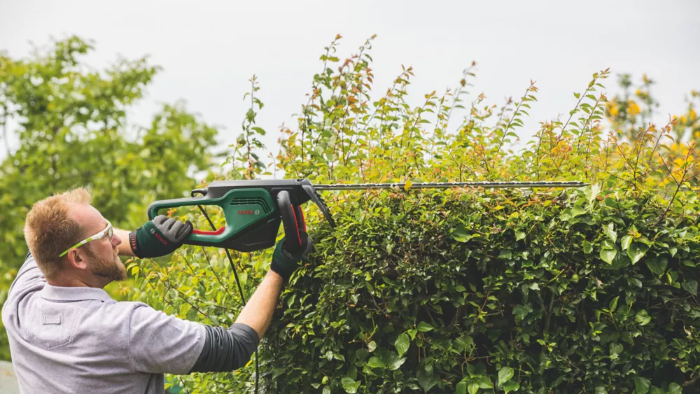 Bosch 70cm 500W 240V Corded Hedgecutter 3 Bosch 70cm 500W 240V Corded Hedgecutter - Image 3