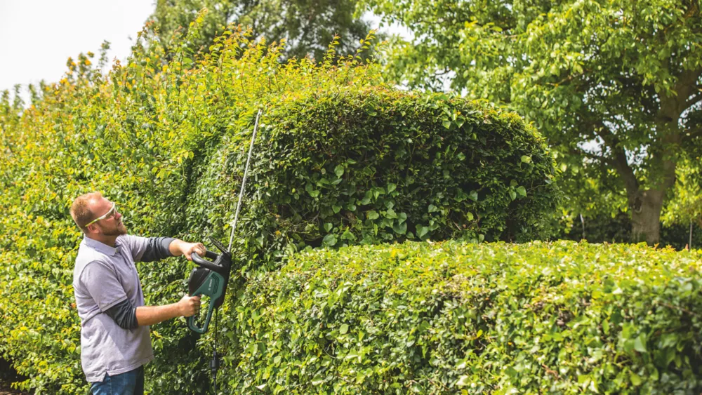 Bosch UniversalHedgeCut 50 50cm 480W 240V Corded Hedge Trimmer - Image 5